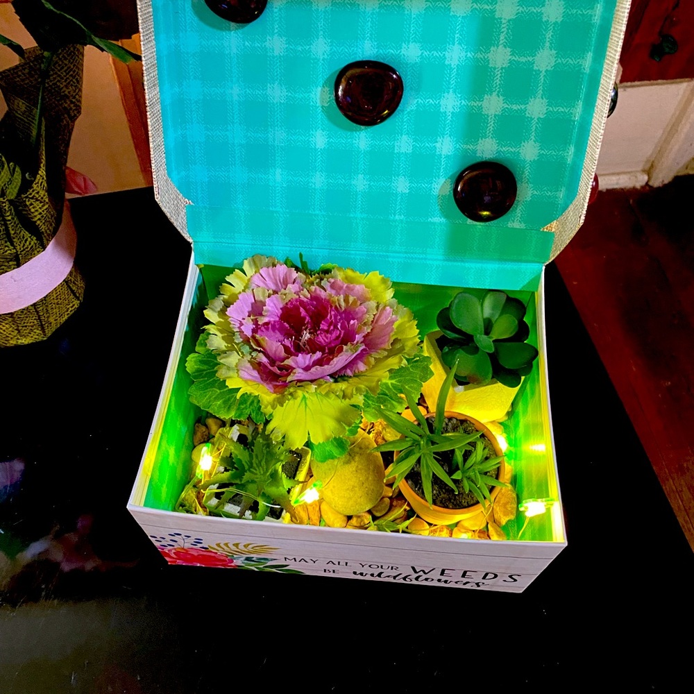 plant light up box